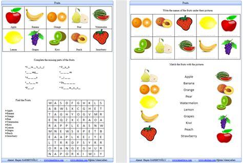 2 sınıf fruits worksheet